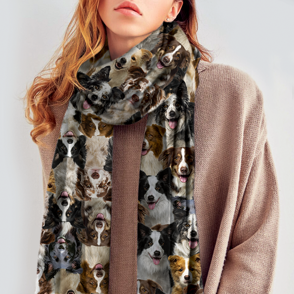 the-one-place-to-find-cheap-you-will-have-a-bunch-of-border-collies-scarf-v1-supply_0.png