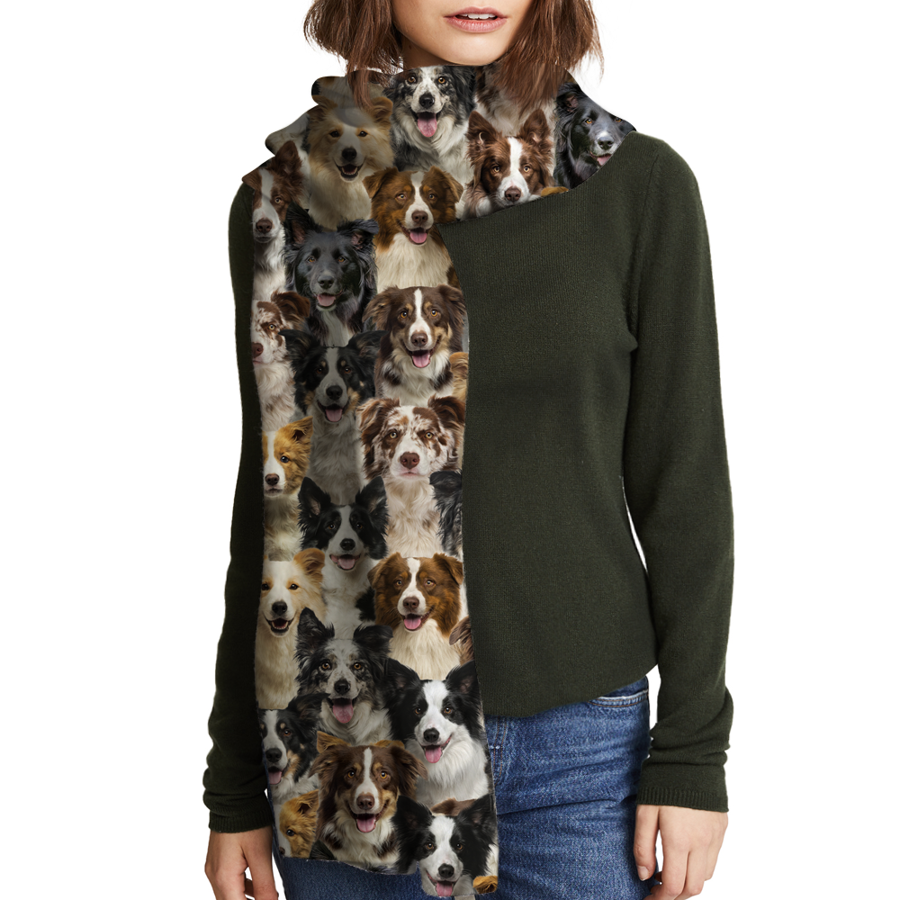 the-one-place-to-find-cheap-you-will-have-a-bunch-of-border-collies-scarf-v1-supply_1.png